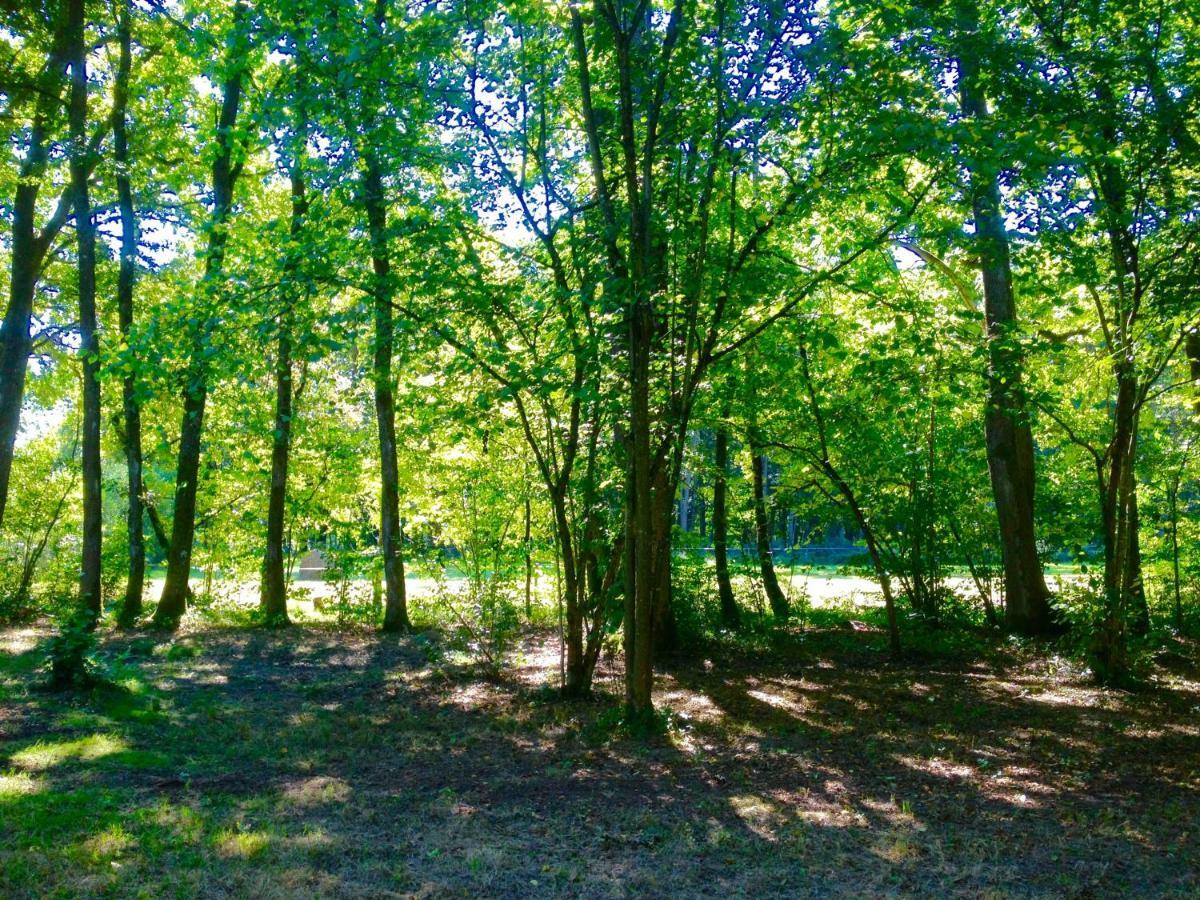 فيلا Chalet Clarimaud Bréchaumont المظهر الخارجي الصورة
